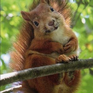 Meet your Posher, Tina